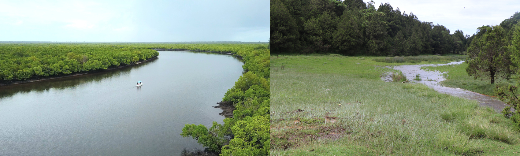 Wetlands Management 